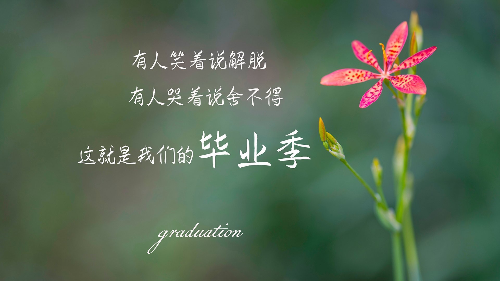 开云kaiyun-中国女排新赛季注重战术多样性,中国女排最新出线形势分析 第1张 开云kaiyun-中国女排新赛季注重战术多样性,中国女排最新出线形势分析 第1张