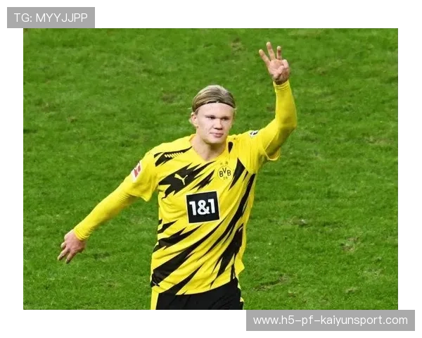 哈兰德边路插入门前补射入网