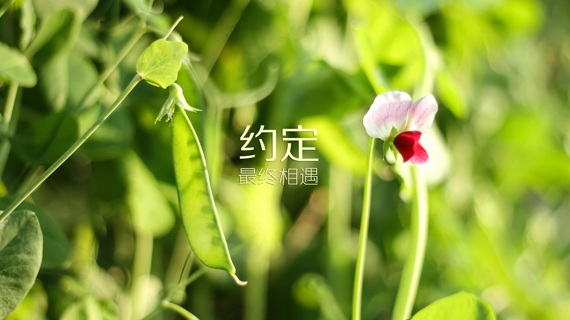 开云电竞登录入口-德甲主教练更替对球队战术稳定性影响，德甲各队主教练  第1张